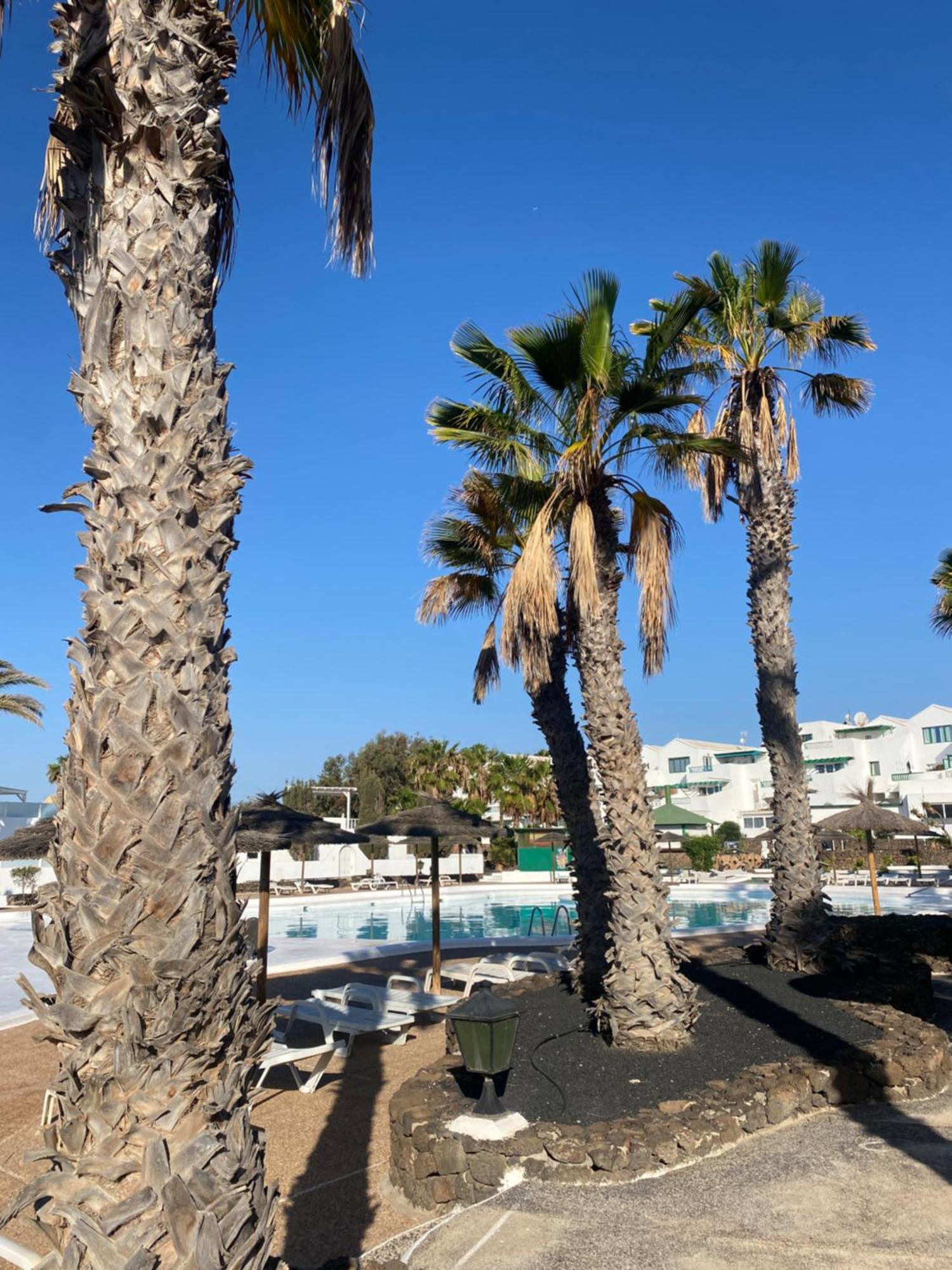 First Floor Apartment With Sea View, Costa Teguise Exteriör bild